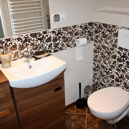 Kasztanowy Centrum דירה זקופאנה