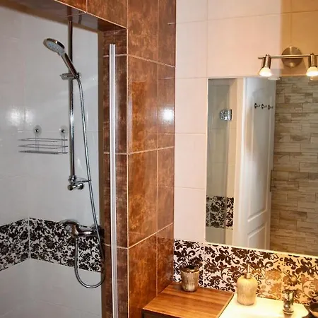 Kasztanowy Centrum Апартаменты Закопане