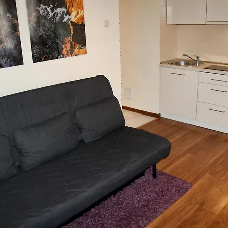 Kasztanowy Centrum זקופאנה