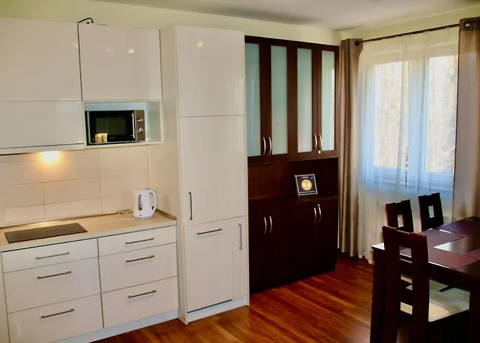 Daire Apartament Kasztanowy Zakopane